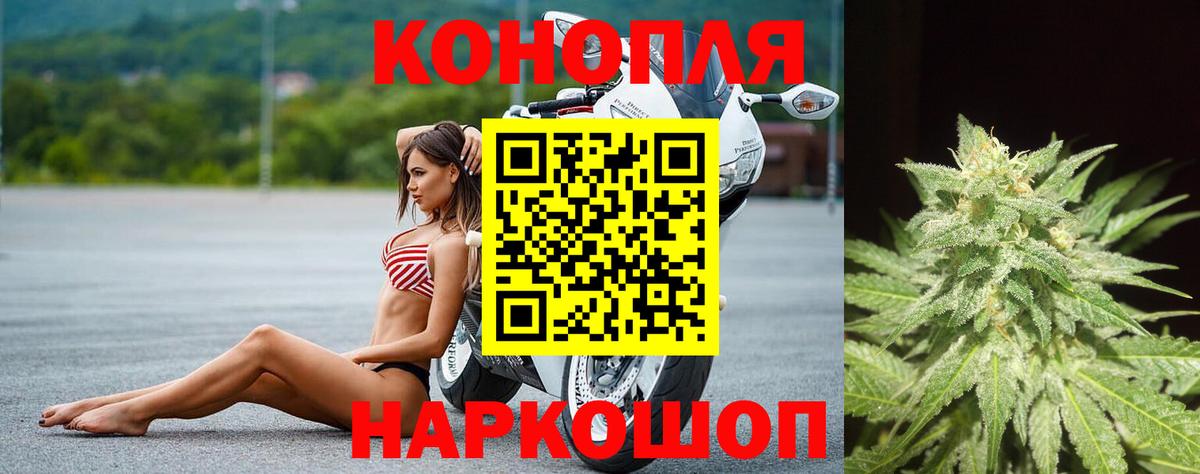 Конопля конопля Минеральные Воды
